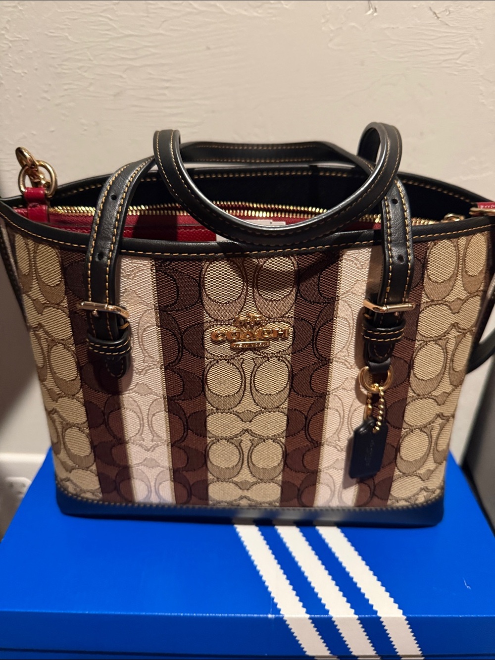 Coach Stripe Signature Mini Tote in Brown, Tan and Black